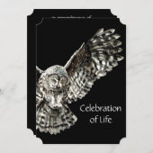 メモリアル招待状男らしフクロウ鳥画 招待状 (正面/裏面)