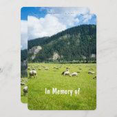 メモリアル招待状羊農業農家 招待状 (正面/裏面)