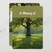 メモリアル招待状美しい日除けツリー芝生 招待状 (正面/裏面)