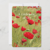 メモリアル招待状赤ポピー花 招待状 (裏面)