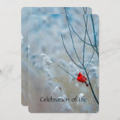 メモリアル招待状(鳥)ショウジョウコウカンチョウレッドバード 招待状 (正面/裏面)