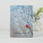 メモリアル招待状(鳥)ショウジョウコウカンチョウレッドバード 招待状 (スタンド正面)