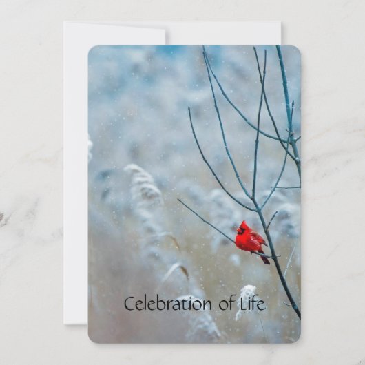 メモリアル招待状(鳥)ショウジョウコウカンチョウレッドバード 招待状 (正面)