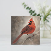 メモリアル赤（鳥）ショウジョウコウカンチョウ記憶の同情カード シーズンカード (スタンド正面)