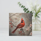 メモリアル赤(鳥)ショウジョウコウカンチョウ記憶の同情カード シーズンカード (スタンド正面)