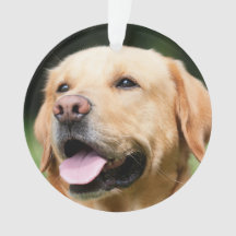 メモリアル - ゴールデンラボ カスタマイズ可能な追悼品