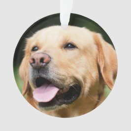 メモリアル - ゴールデンラボ カスタマイズ可能な追悼品 オーナメント