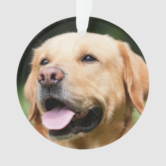 メモリアル - ゴールデンラボ カスタマイズ可能な追悼品 オーナメント (正面)