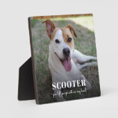 メモリアル ドッグ フォト 爪跡 私の心に プラーク (正面)