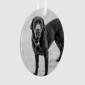 メモリアル - ブラックラボのカスタマイズ可能な追悼品 オーナメント (正面)