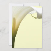 メモリアル/告知 招待状 (裏面)