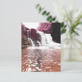 メモリカードウォーターフォールド (スタンド正面)