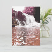 メモリカードウォーターフォールド プログラム (スタンド正面)