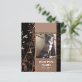 メモリカードシルエット (スタンド正面)