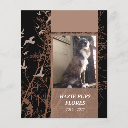 メモリカードシルエット (正面)