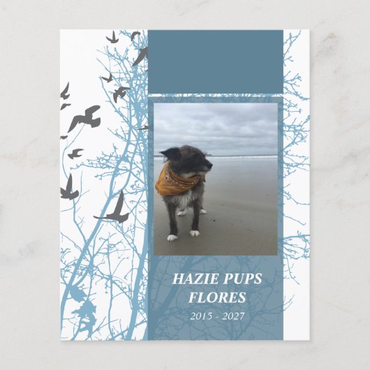 メモリカードシルエット (正面)