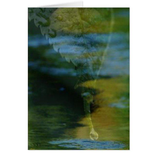 メモリーカード (正面)