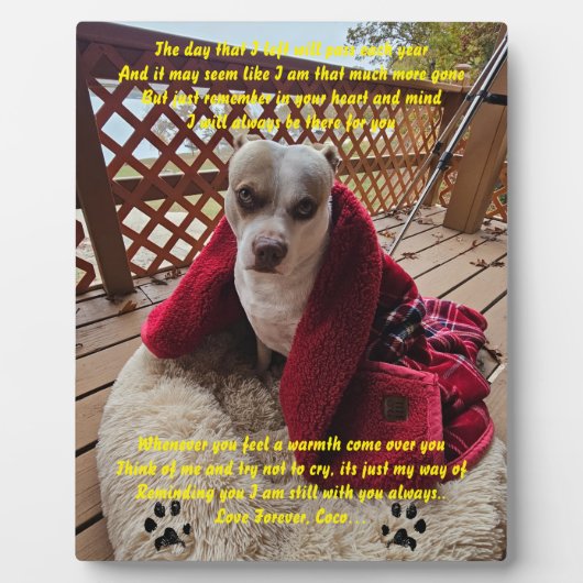 メモリープレート フォトプラーク (正面)