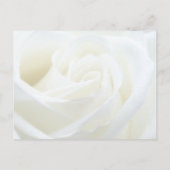 メモリー フローラル ローズ お別れ ポストカード (裏面)