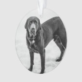 メモリー - ブラックラボのカスタマイズ可能なメモリアル オーナメント (正面)