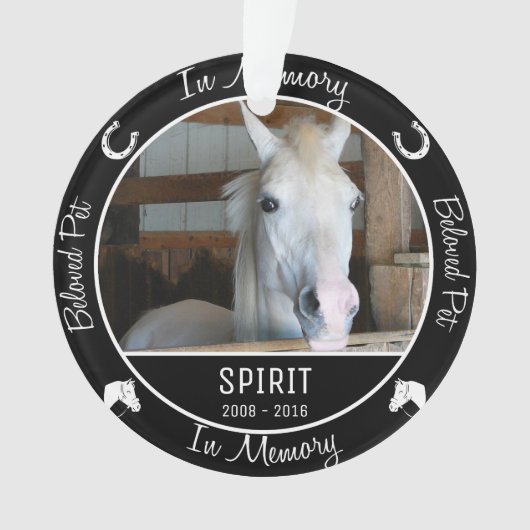 メモリ内-馬の紛失-カスタムの写真/名前 オーナメント (正面)