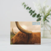 メモリ2 216, SCOTLAND, Photography by Kirsten ... ポストカード (スタンド正面)