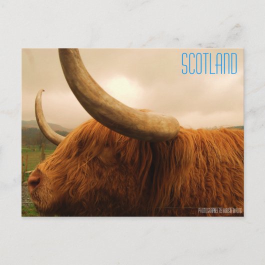 メモリ2 216, SCOTLAND, Photography by Kirsten ... ポストカード (正面)