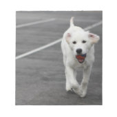 メモ帳の可愛い犬 ノートパッド (正面)