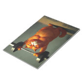 メモ帳 (アングル)