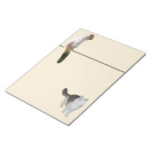 メモ帳 – Two Cats and a Line (アングル)