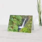 メラコ秋 カード (正面)