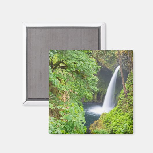 メラコ秋 マグネット (正面/裏面)