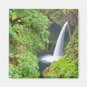 メラコ秋 マグネット (正面)