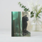 メラニン恋しく思コール黒猫の社会的距離 ポストカード (スタンド正面)