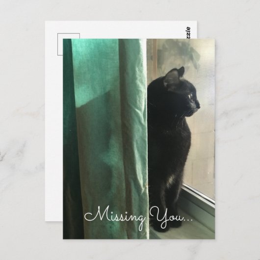 メラニン恋しく思コール黒猫の社会的距離 ポストカード (正面/裏面)