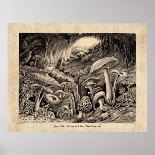 メリエールボヤージュダンラルーヌタブロー15ポスター ポスター (正面)