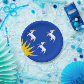 メリオネトシャー国旗の紙プレート ペーパープレート (パーティー)