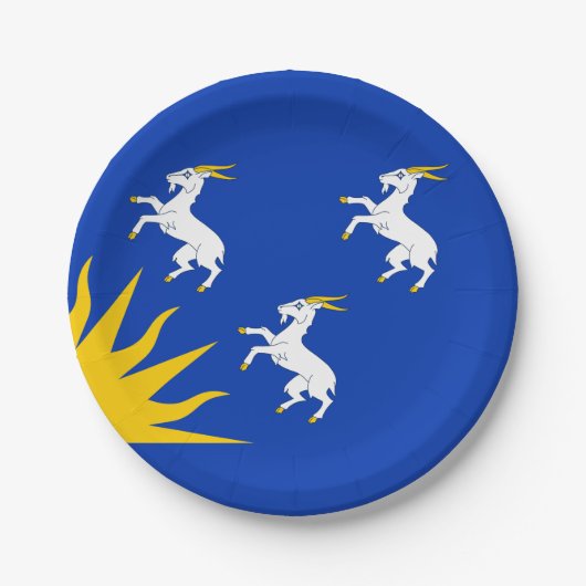 メリオネトシャー国旗の紙プレート ペーパープレート (正面)