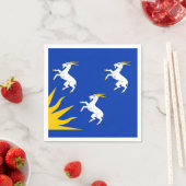 メリオネトシャー紙ナプキンス国旗 スタンダードカクテルナプキン (インサイチュ)