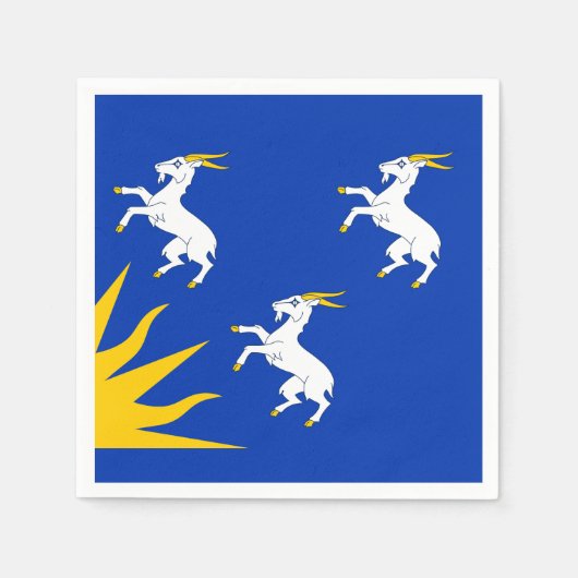 メリオネトシャー紙ナプキンス国旗 スタンダードカクテルナプキン (正面)