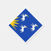 メリオネトシャー紙ナプキンス国旗 スタンダードカクテルナプキン (角)