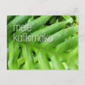 メリクリスマスカード メレカリキマカ シーズンポストカード (正面)