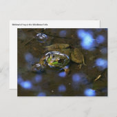 メリッサカエル ポストカード (正面/裏面)