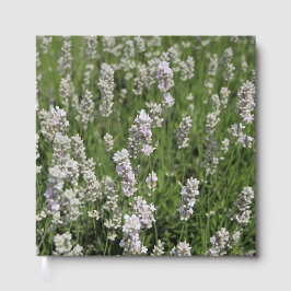 メリッサラベンダー ゲストブック