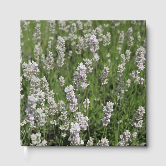 メリッサラベンダー ゲストブック (正面)