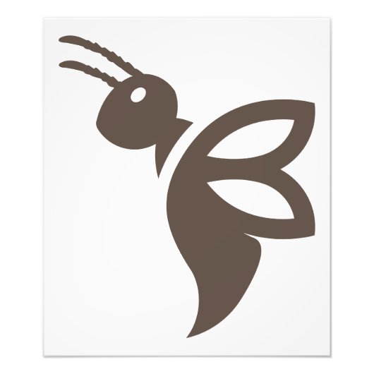 メリッサ フォトプリント            (正面)