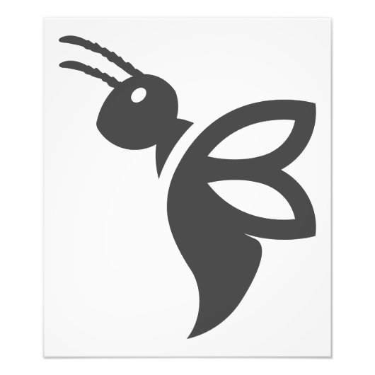 メリッサ フォトプリント            (正面)