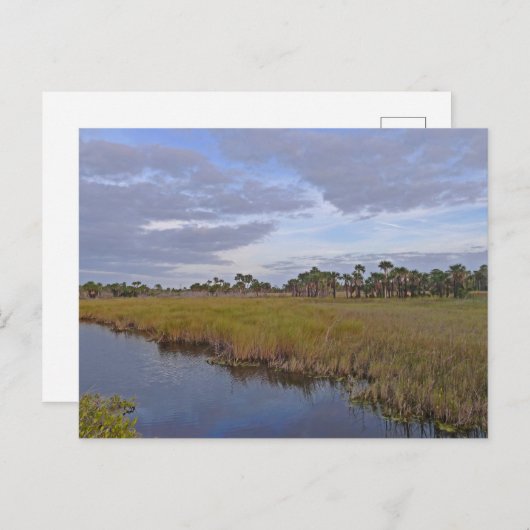 メリット島国立野生生物保護区フロリダ ポストカード (正面/裏面)