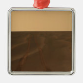 メリディアニの平野のパノラマビュー メタルオーナメント (正面)