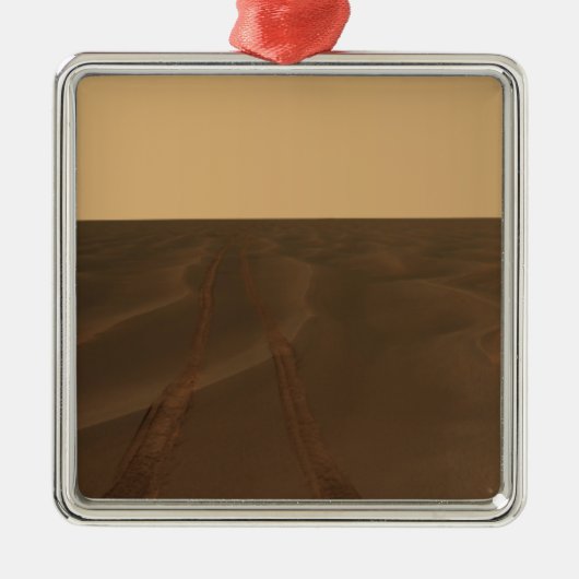 メリディアニの平野のパノラマビュー メタルオーナメント (正面)